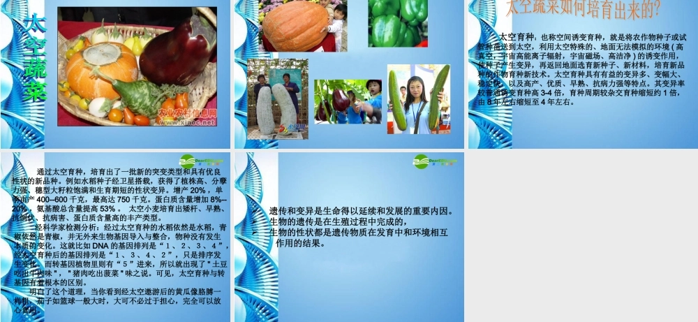 八年级生物 第一学期(试验本)第2章第一节 基因 生物的变异课件 上海版 课件