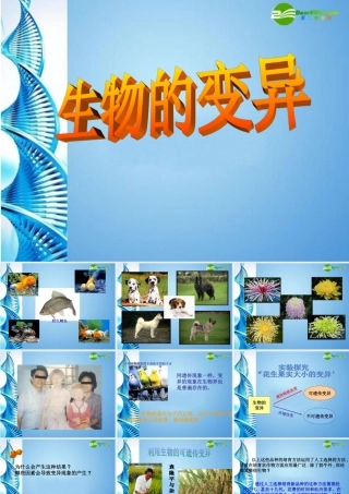 八年级生物 第一学期(试验本)第2章第一节 基因 生物的变异课件 上海版 课件
