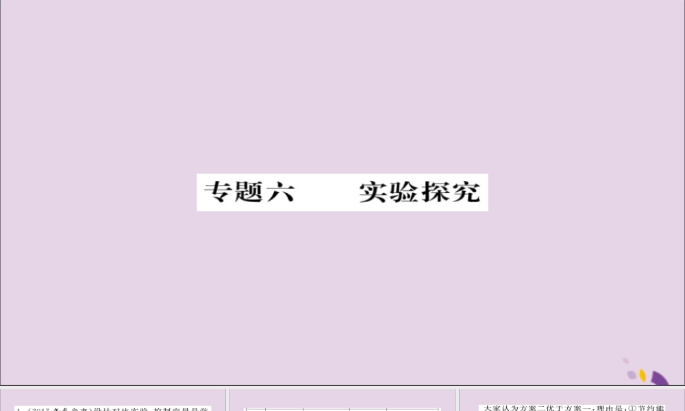 中考化学总复习 第二轮 专题训练 提升能力 专题六 实验探究练习课件