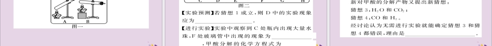 中考化学总复习 第二轮 专题训练 提升能力 专题六 实验探究练习课件