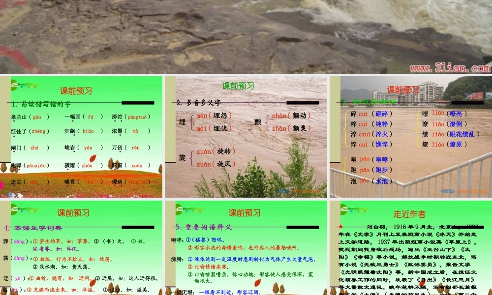 八年级语文下册 第十九课(黄河之水天上来)课件 河大版 课件