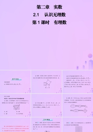 八年级数学上册 第二章 实数 2.1 认识无理数 第1课时 有理数习题课件 (新版)北师大版 课件