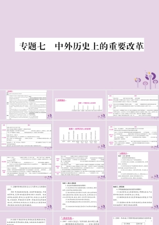 中考历史复习 第二篇 知能综合提升 专题突破7 中外历史上的重要改革课件