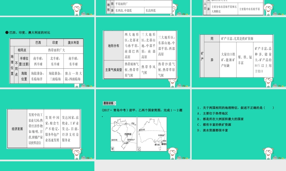 中考地理 六下 第九章 西半球的国家复习课件