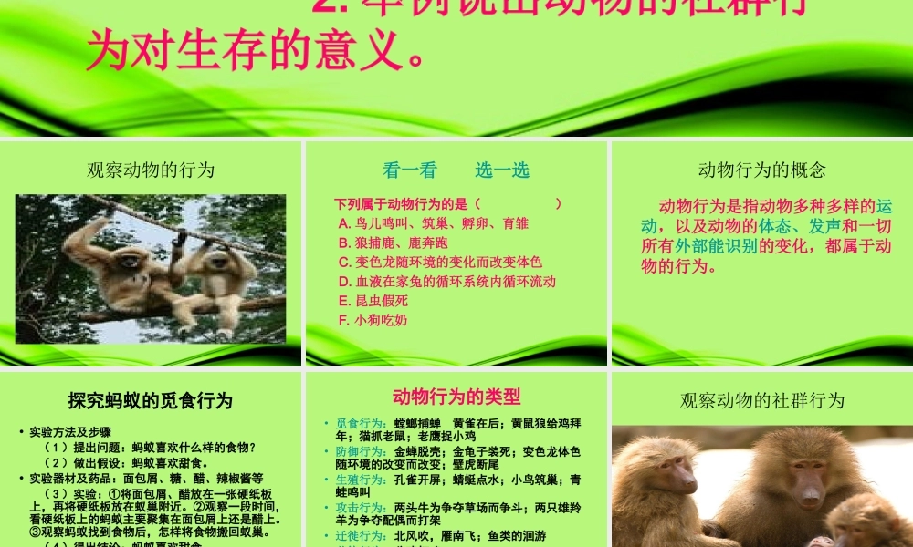 云南省麻栗坡县八年级生物上册(17.1 动物行为的主要类型)课件 苏教版 课件