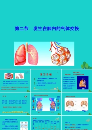 七年级生物下册 4.3.2 发生在肺内的气体交换课件(新版)新人教版 课件