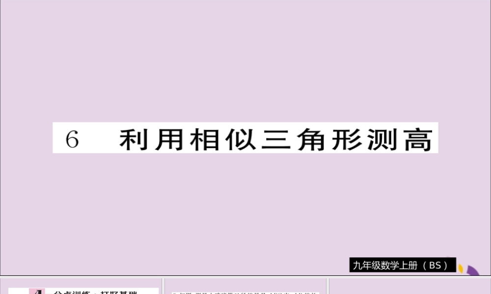 九年级数学上册 第四章 图形的相似 46 利用相似三角形测高习题课件 (新版)北师大版 课件