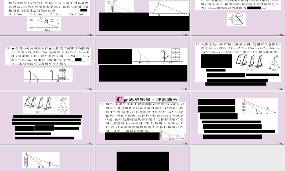 九年级数学上册 第四章 图形的相似 46 利用相似三角形测高习题课件 (新版)北师大版 课件