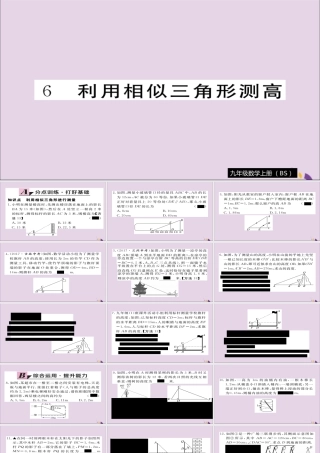 九年级数学上册 第四章 图形的相似 46 利用相似三角形测高习题课件 (新版)北师大版 课件