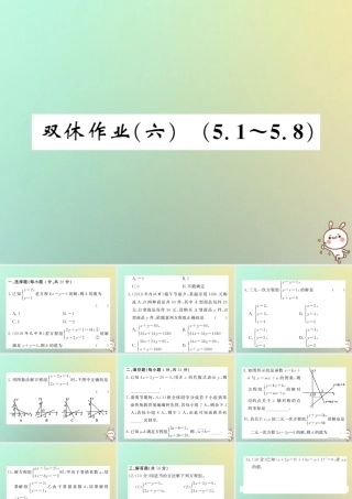 八年级数学上册 双休作业(六)习题课件 (新版)北师大版 课件