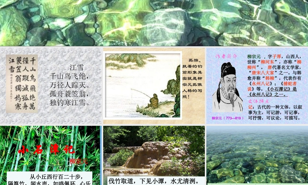 八年级语文下册(小石潭记)优秀教学课件 人教新课标版 课件