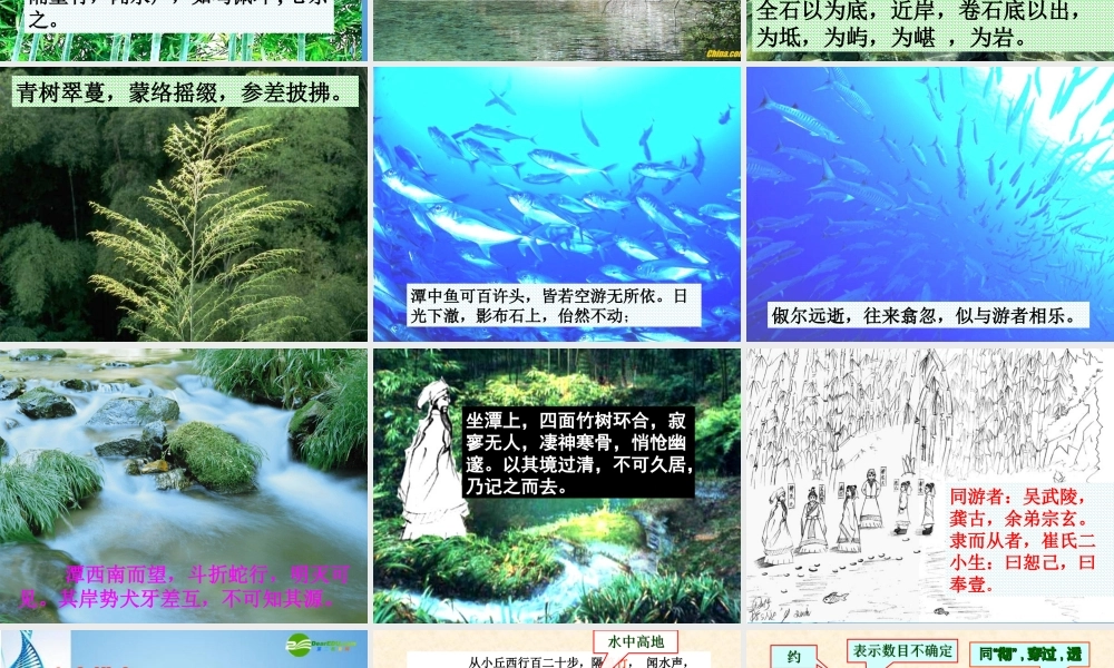 八年级语文下册(小石潭记)优秀教学课件 人教新课标版 课件
