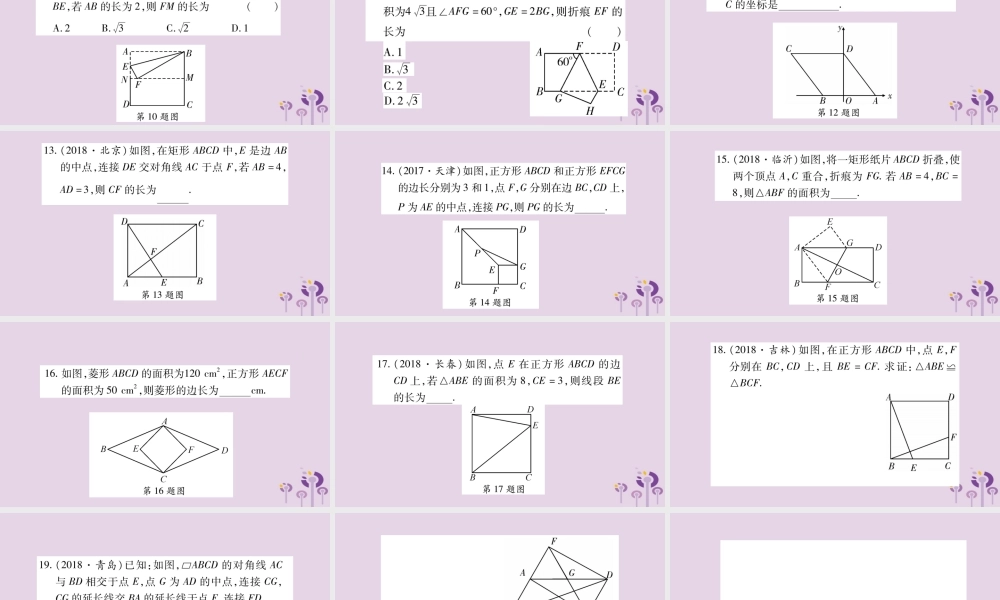 中考数学复习 第一轮 考点系统复习 第5章 四边形 第2节 矩形、菱形、正方形习题课件