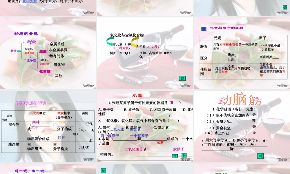 初三化学专题复习 物质 人教版 课件