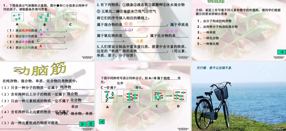 初三化学专题复习 物质 人教版 课件