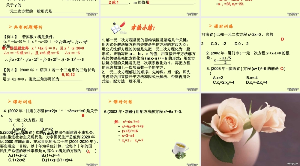 整式方程中考数学复习课件 华东师大版 课件