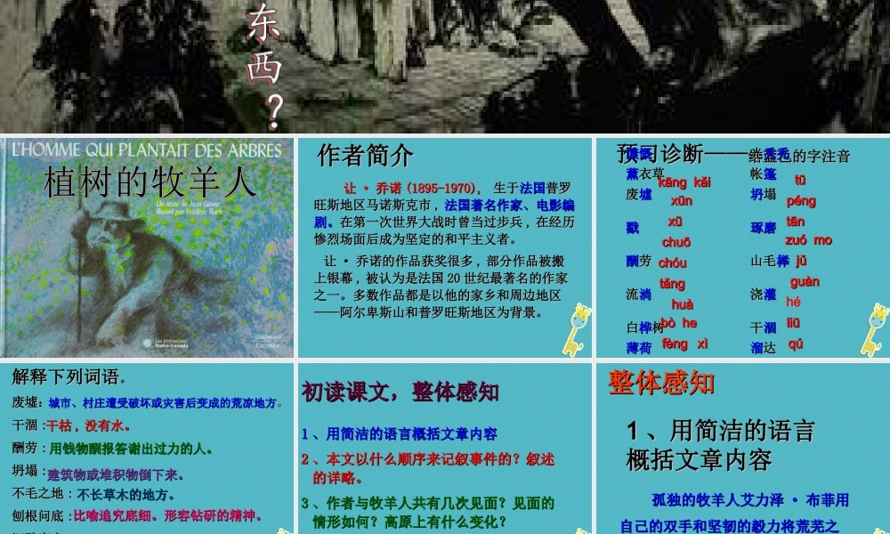 七年级语文上册 第四单元 13 植树的牧羊人课件 新人教版 课件