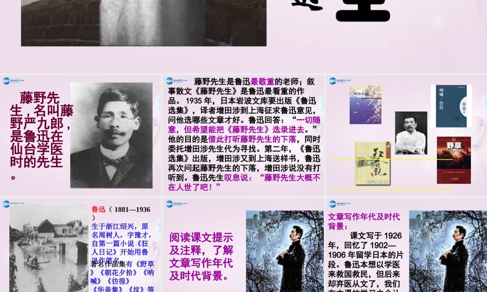 八年级语文下册 1(藤野先生)课件3 新人教版 课件