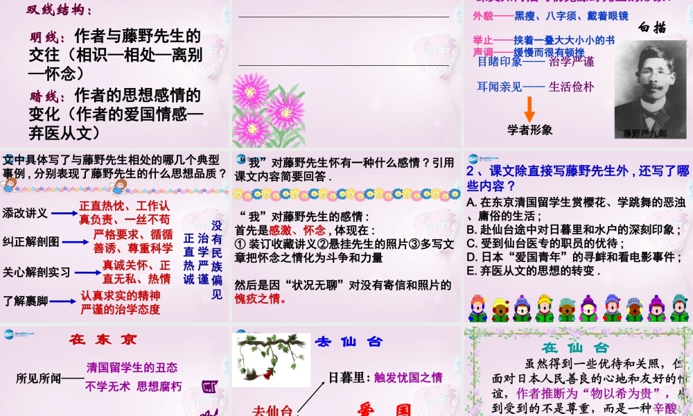 八年级语文下册 1(藤野先生)课件3 新人教版 课件
