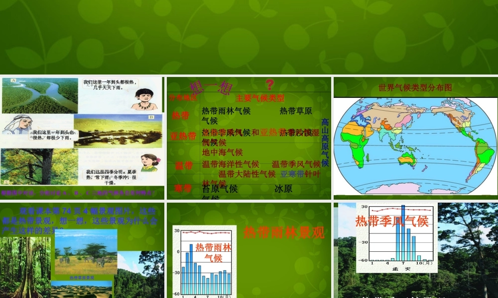 山东省无棣县第一实验学校七年级地理上册 第四章 第四节 世界主要气候类型课件 湘教版 课件