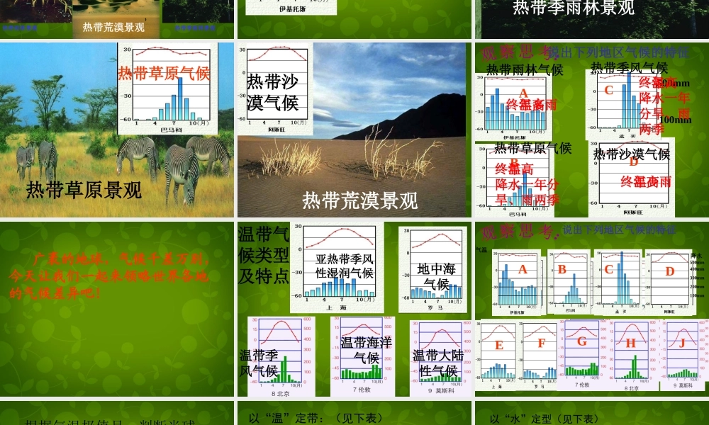 山东省无棣县第一实验学校七年级地理上册 第四章 第四节 世界主要气候类型课件 湘教版 课件