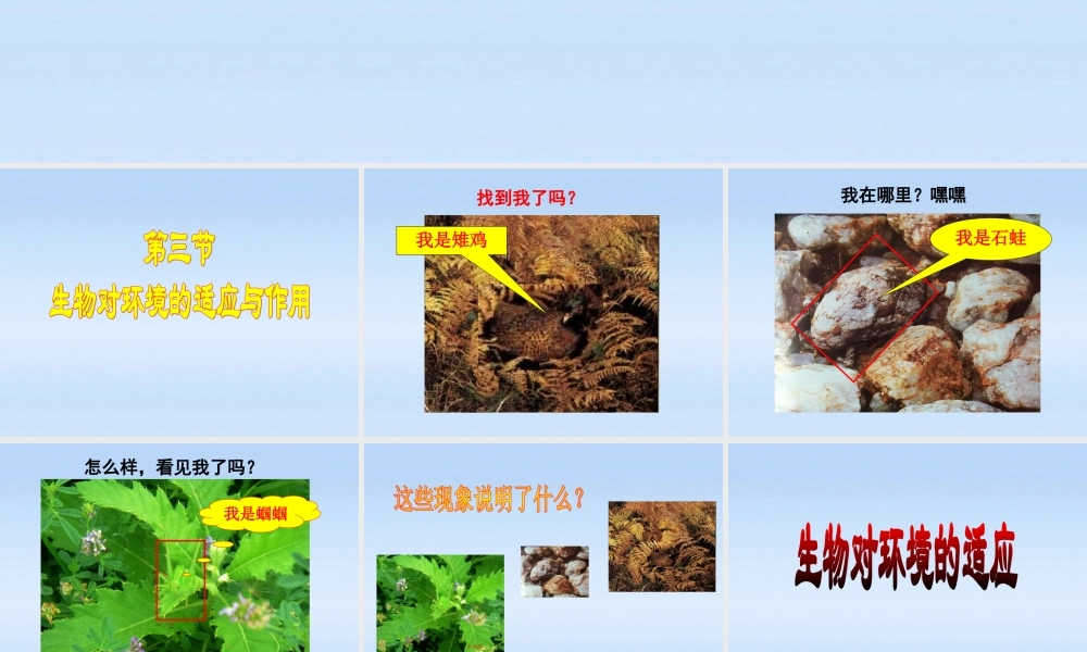七年级生物上册 (生物对环境的适应和作用)教学课件 济南版 课件