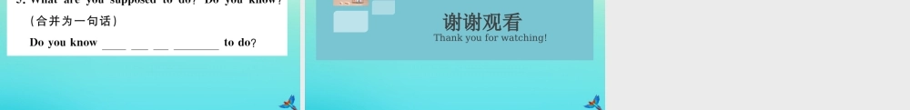 九年级英语全册 Unit 10 You re supposed to shake hands单元语法专项习题课件 (新版)人教新目标版 课件