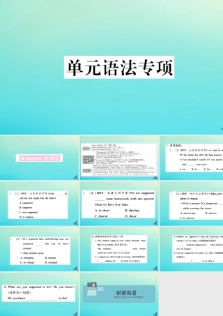 九年级英语全册 Unit 10 You re supposed to shake hands单元语法专项习题课件 (新版)人教新目标版 课件