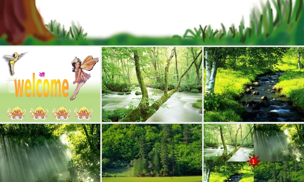 七年级生物下册空气质量与健康课件新人教版 课件