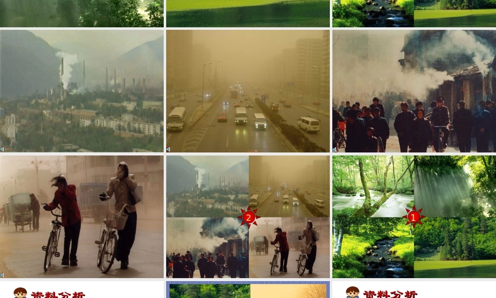 七年级生物下册空气质量与健康课件新人教版 课件