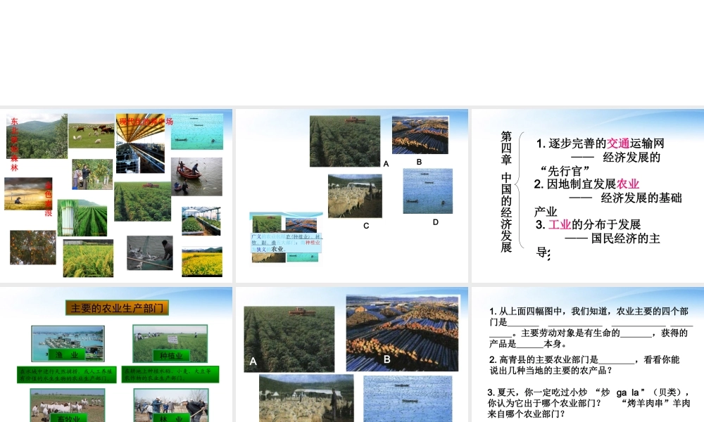 八年级地理上册 第四章中国的经济发展的第二节因地制宜发展农业课件 人教新课标版 课件