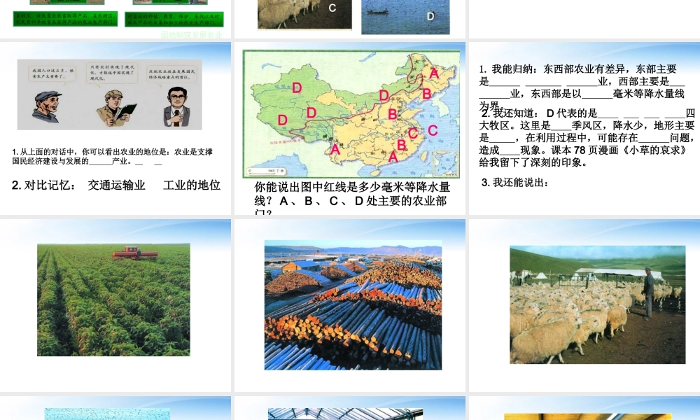 八年级地理上册 第四章中国的经济发展的第二节因地制宜发展农业课件 人教新课标版 课件