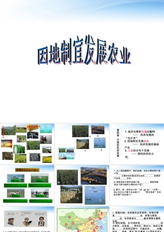 八年级地理上册 第四章中国的经济发展的第二节因地制宜发展农业课件 人教新课标版 课件