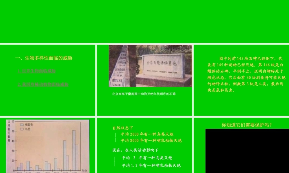 八年级生物新人教版保护生物的多样性2ppt 课件