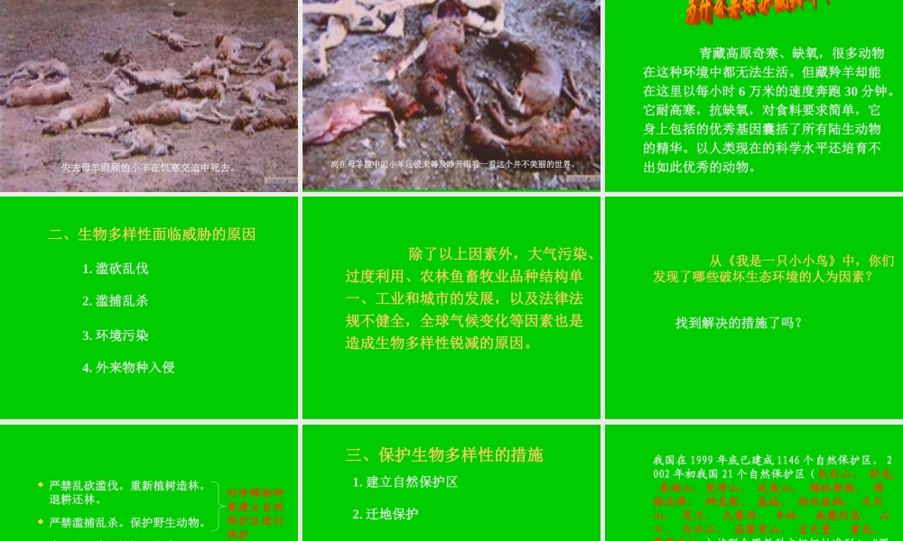 八年级生物新人教版保护生物的多样性2ppt 课件