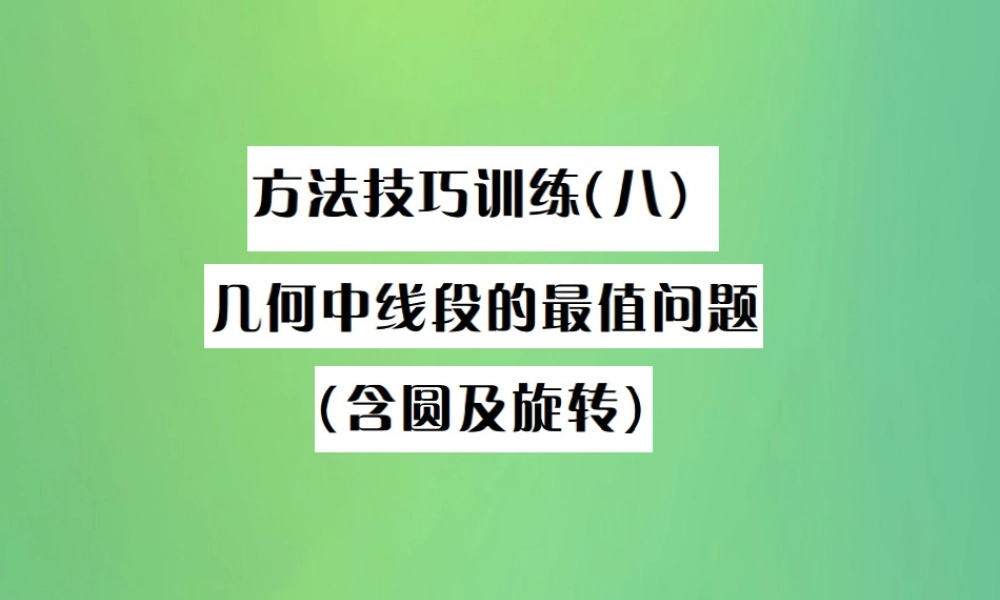 中考数学复习 第七单元 图形变化 方法技巧训练(八)课件