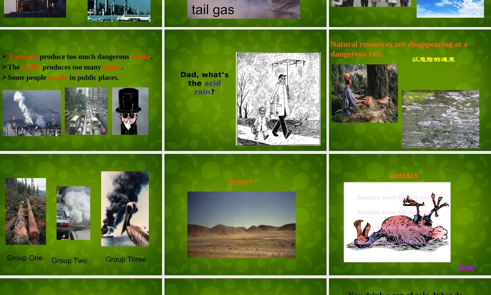 九年级英语全册 Unit 13 We re trying to save the earth Section A(1a 3b)课件 (新版)人教新目标版 课件