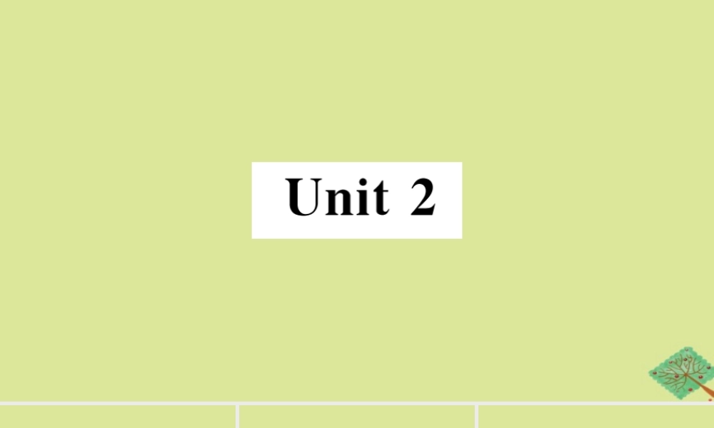 八年级英语上册 Module 4 Planes，ships and trains Unit 2 What is the best way to travel(小册子)作业课件 (新版)外研版 课件