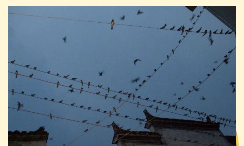 九年级物理 72欧姆定律及其应用第二课时课件 人教新课标版 课件