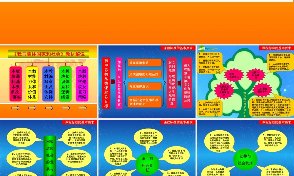 九年级政治 我与集体社会国家 北师大版 课件