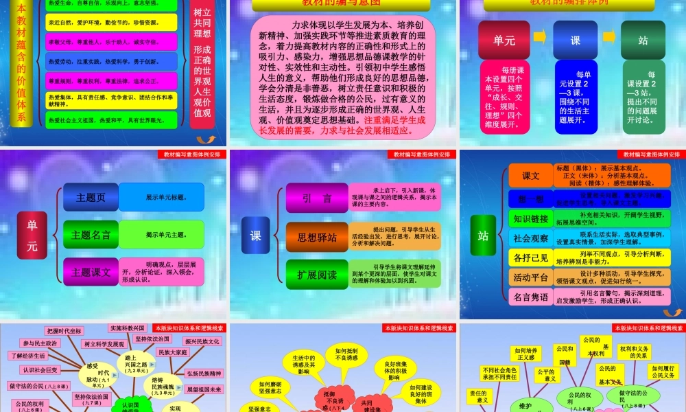 九年级政治 我与集体社会国家 北师大版 课件