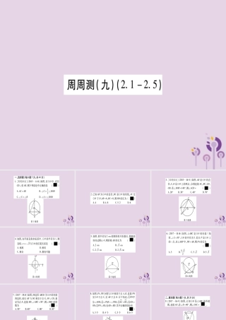 九年级数学下册 周周测(9)作业课件 (新版)湘教版 课件