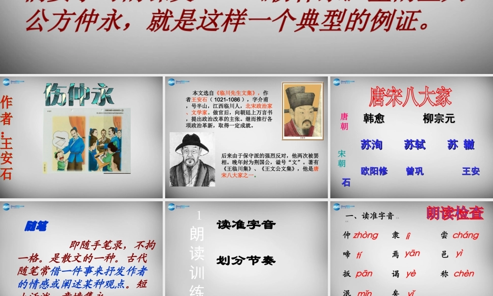 中学七年级语文上册 23(伤仲永)课件 语文版 课件