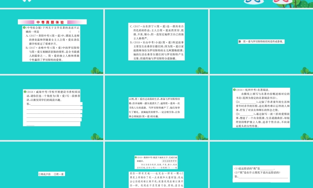 九年级语文下册 第六单元 名著导读(简 爱)外国小说的阅读习题课件 新人教版 课件