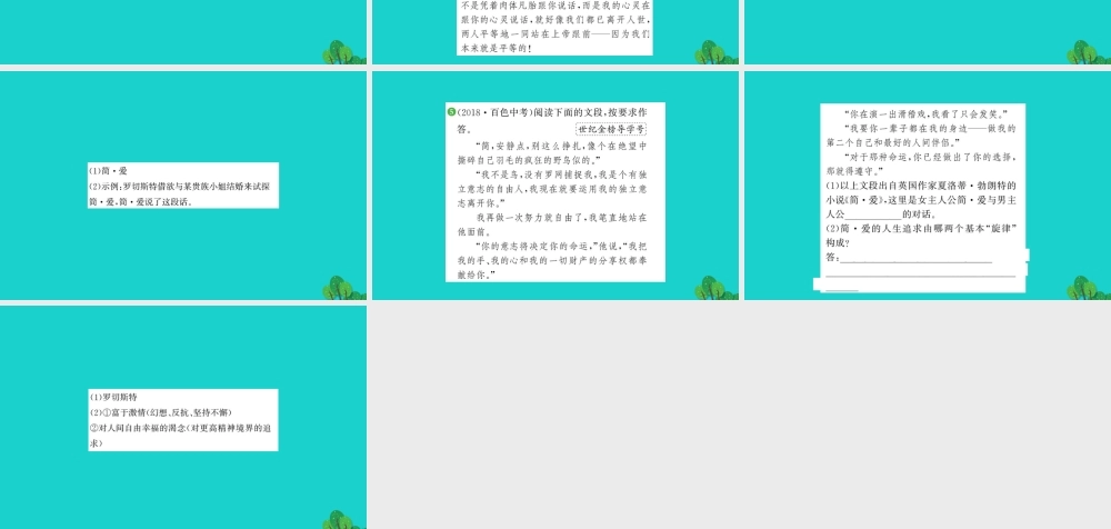 九年级语文下册 第六单元 名著导读(简 爱)外国小说的阅读习题课件 新人教版 课件