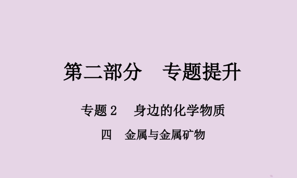 中考化学总复习 第二部分 专题提升 专题2 身边的化学物质 四 金属与金属矿物课件