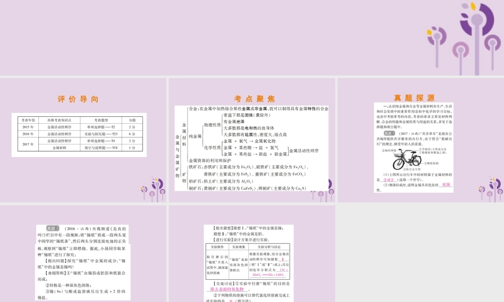 中考化学总复习 第二部分 专题提升 专题2 身边的化学物质 四 金属与金属矿物课件
