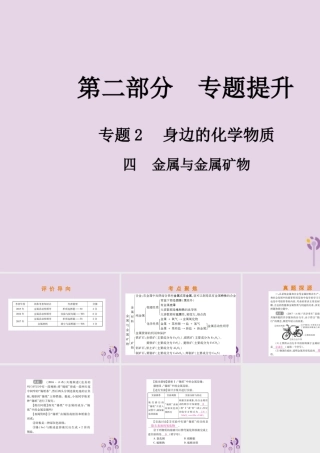 中考化学总复习 第二部分 专题提升 专题2 身边的化学物质 四 金属与金属矿物课件