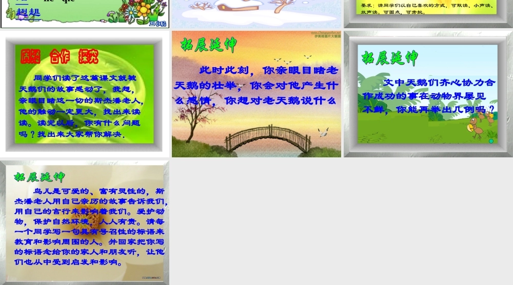 北师大版七年级语文上册天鹅的故事1ppt(1) 课件