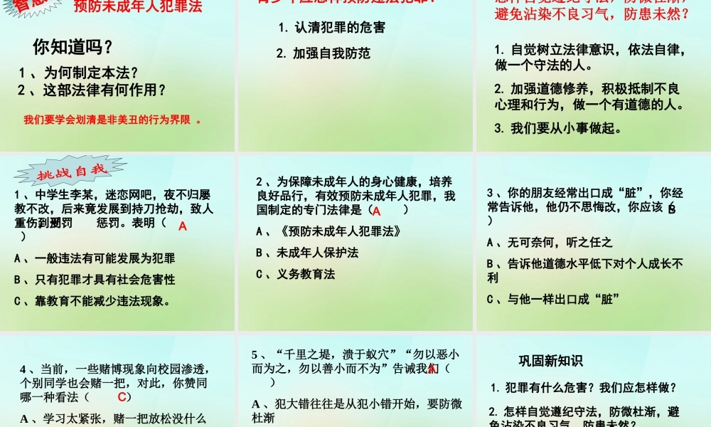 中学七年级政治下册 4.7.3 防患于未然课件 新人教版 课件